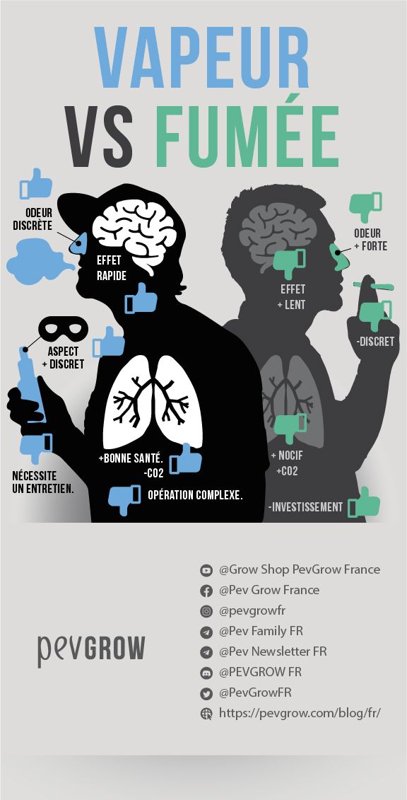 Différences notables entre fumer et vaporiser du cannabis