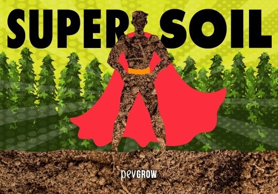 Imagen de un Super heroe representando el supersoil entre plantas de marihuana