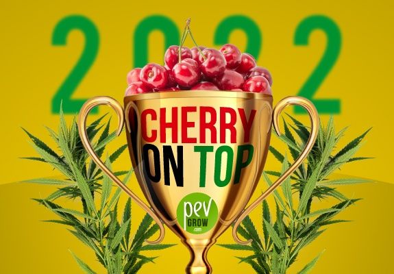 Imagen de una copa trofeo conteniendo cerezas representando la variedad Cherry y dos ramas de cannabis alrededor