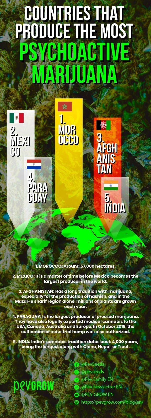 Infographic on the countries that produce the most psychoactive marijuana
