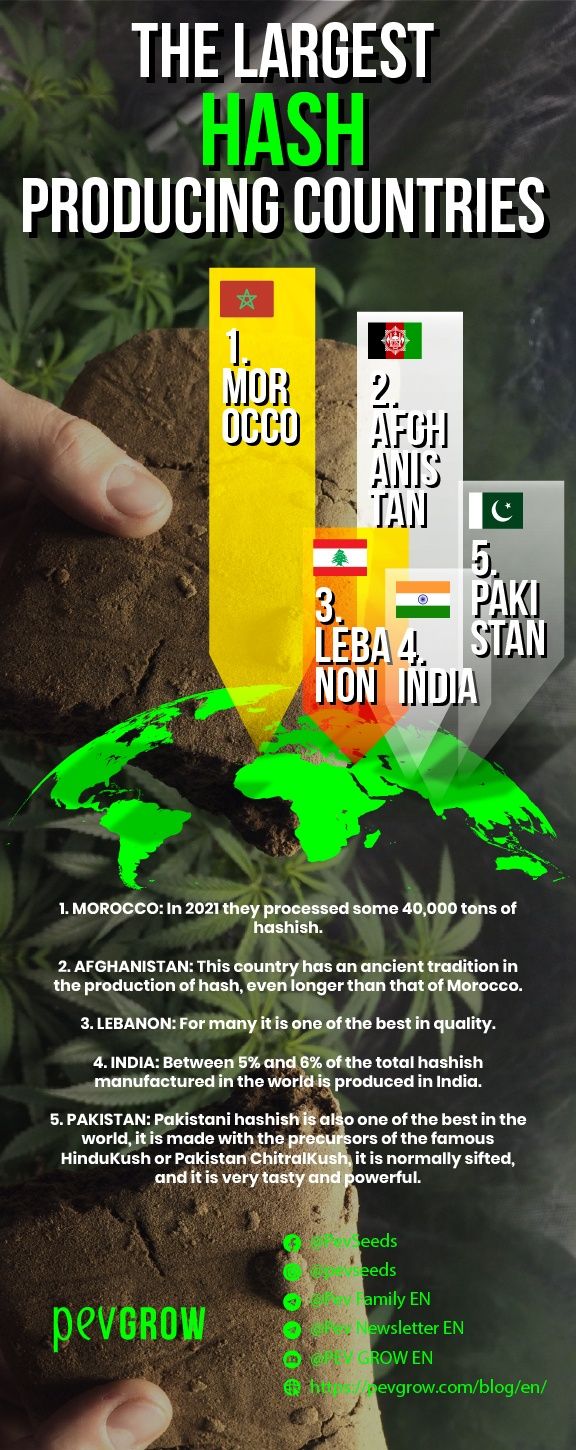Infographic on the countries with the highest production of hashish