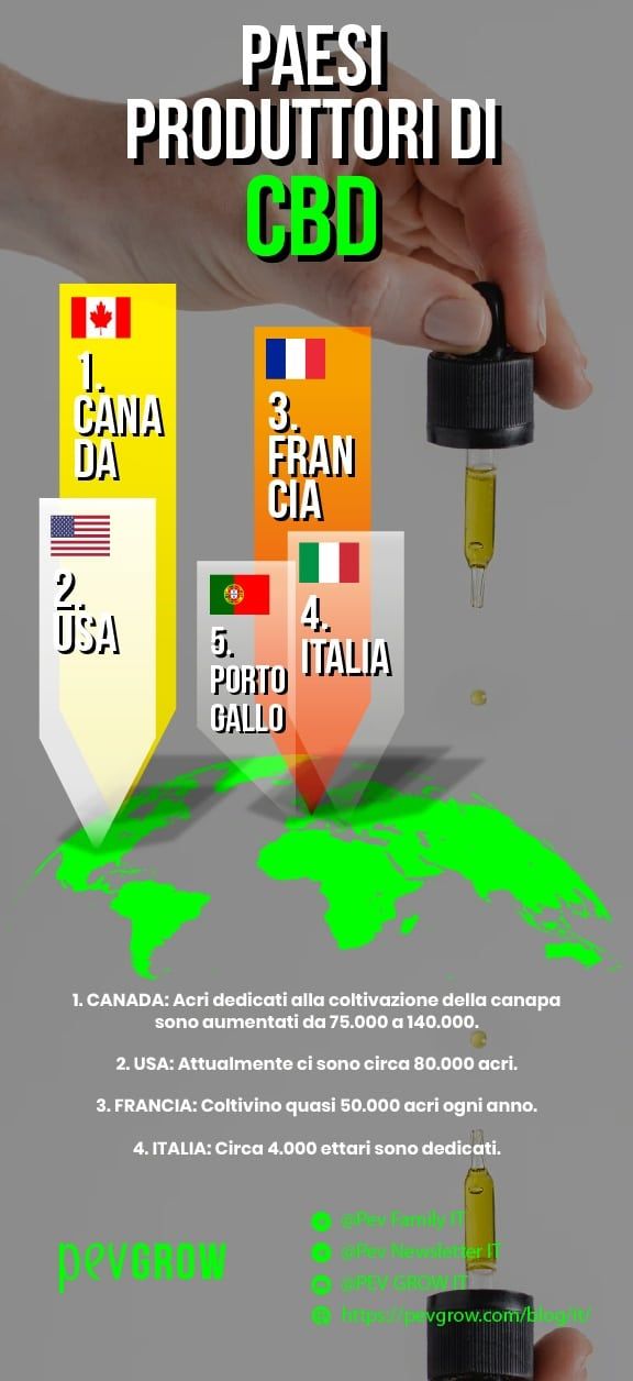 Infografica sui paesi che producono CBD