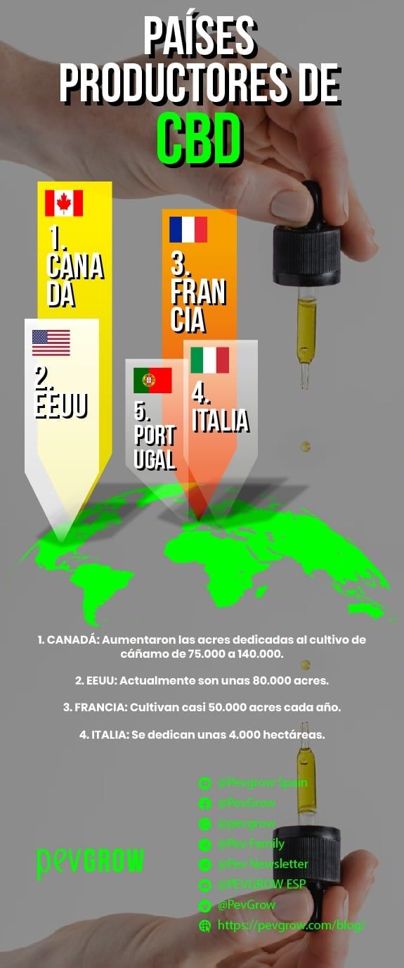 Infografía sobre los países productores de CBD