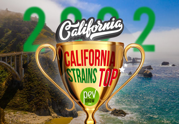 Image of a trophy cup with a view of California in the background