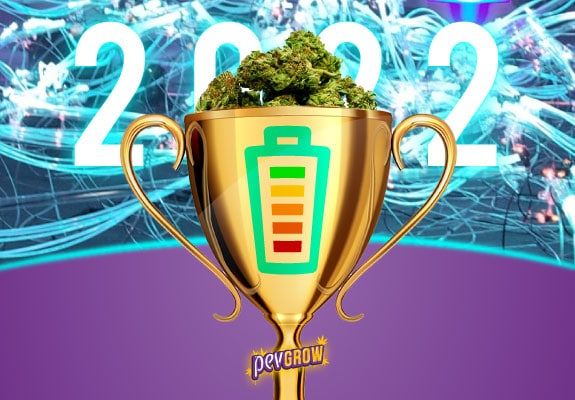 Image of a cannabis cup with the best energy-boosting marijuana in it