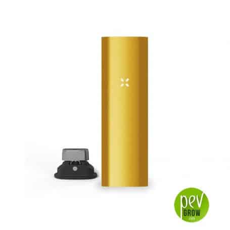 Pax 3