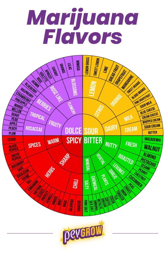 Wheel of marijuana flavours
