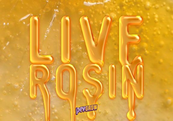 What is Live Rosin?