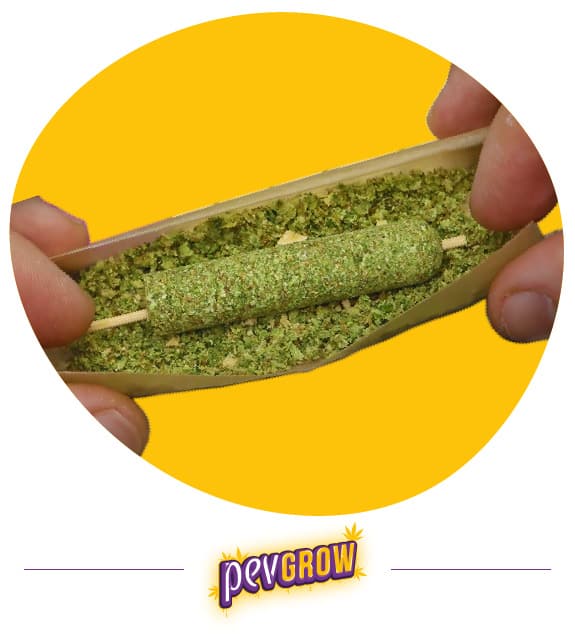 Cannabis Thai Stick