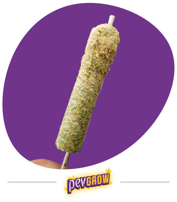 Cannabis Thai Stick