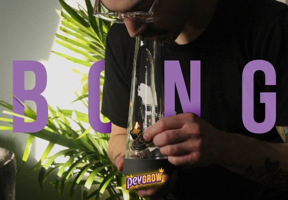 Bong, another way to consume cannabis