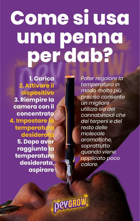 Infografica su come utilizzare un Dab Pen