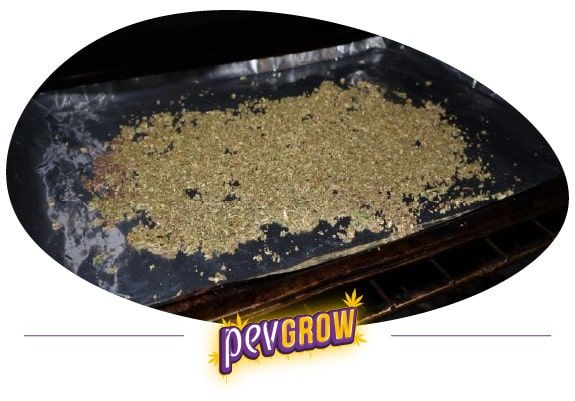 *Imagen de varios cogollos de cannabis durante el proceso de descarboxilación*