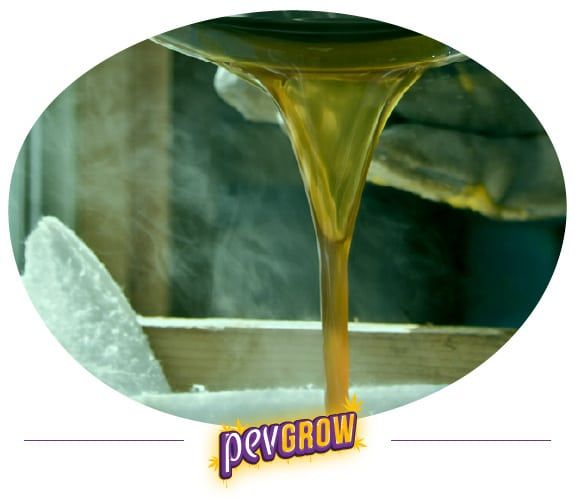 *Image of THC syrup filtrate*