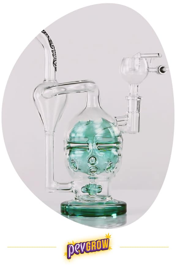 *Photo of a beautifully designed recycler bong*