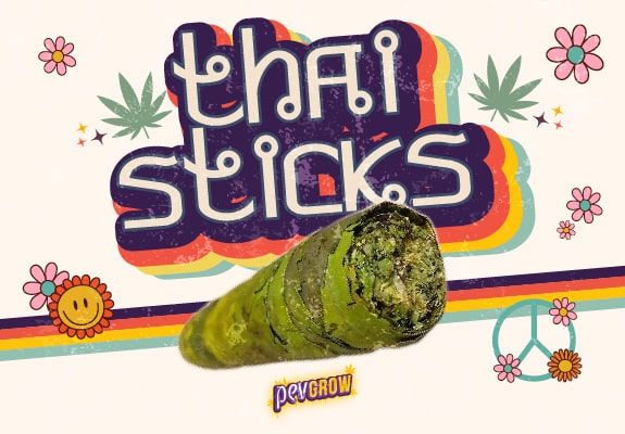 Cannabis Thai Stick, ce que c’est, comment c’est fait et comment fumer cette weed