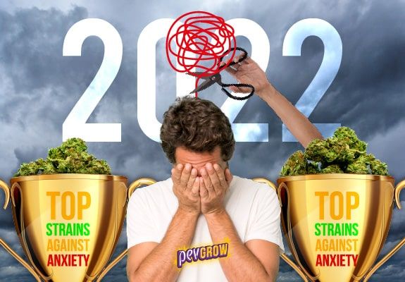 The best varieties of weed to treat various types of anxiety