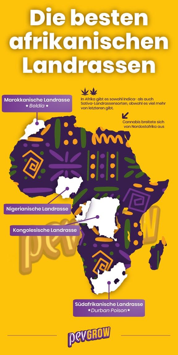 Bild einer Weltkarte, auf der Sie die Standorte vieler afrikanischer Landrassen sehen können**
