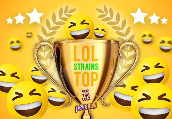 Immagine di una tazza di cannabis circondata da emoji ridenti che rappresentano le migliori varietà di marijuana di cui ridere nel 2022.
