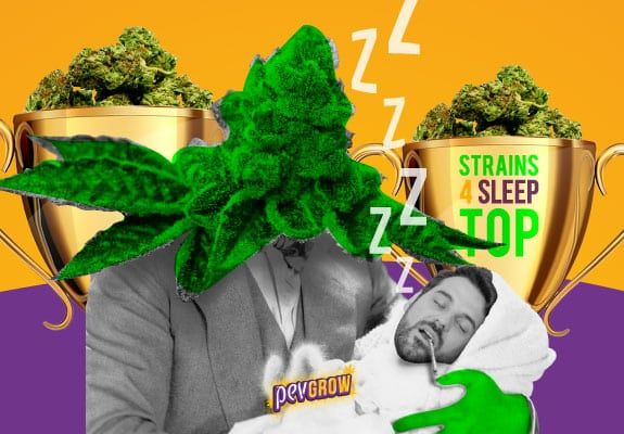 Immagine di un germoglio di cannabis che rimbocca le coperte a un bambino per aiutarlo a dormire.