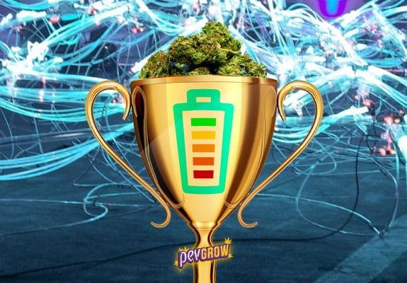 Ranking weed énergisante