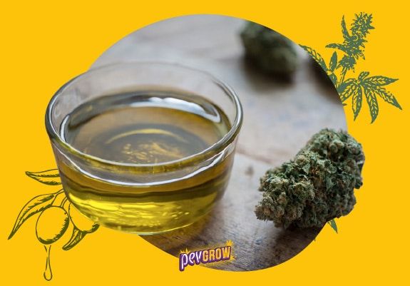 Cannabic oil recipe: the perfect partner for your high class meals