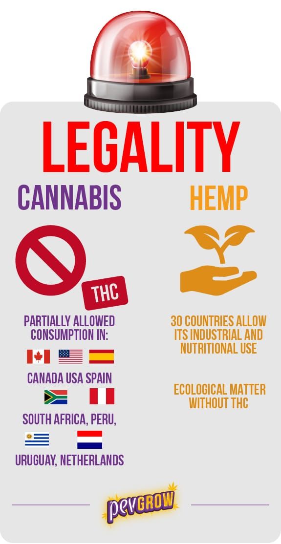 Hemp Legality