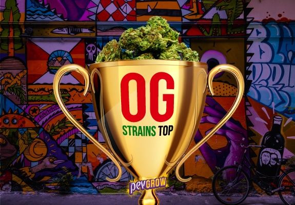 Image of a trophy cup full of buds and a mural with colourful graffiti in the background.