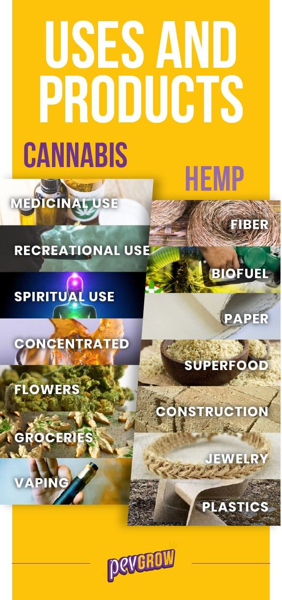 Uses and products made from hemp