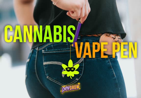 Weed Vape Pod, la façon la plus moderne de consommer du cannabis