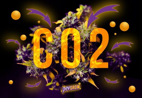 Immagine delle lettere CO2 e di una pianta di marijuana sullo sfondo