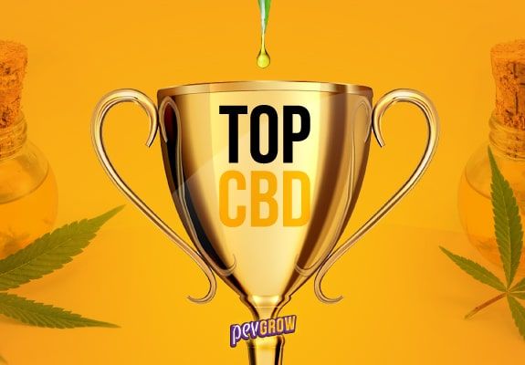 CBD-reiche Sorten, die besten des Jahres 2023