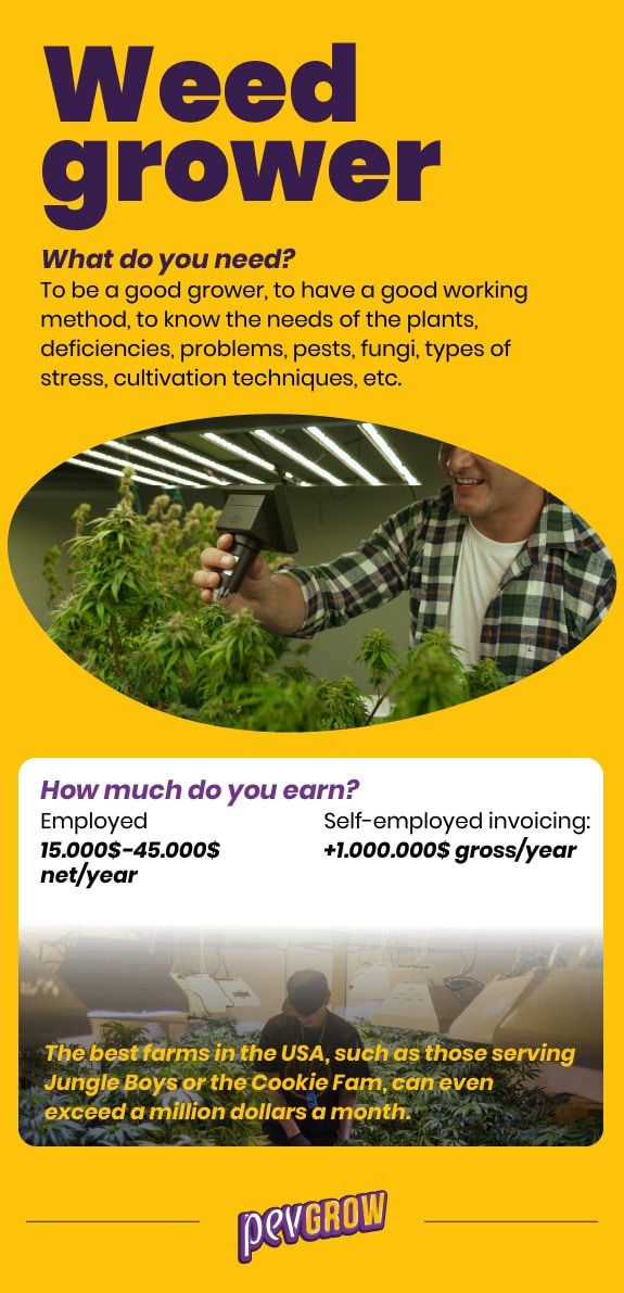 Información sobre trabajos como cultivador de marihuana