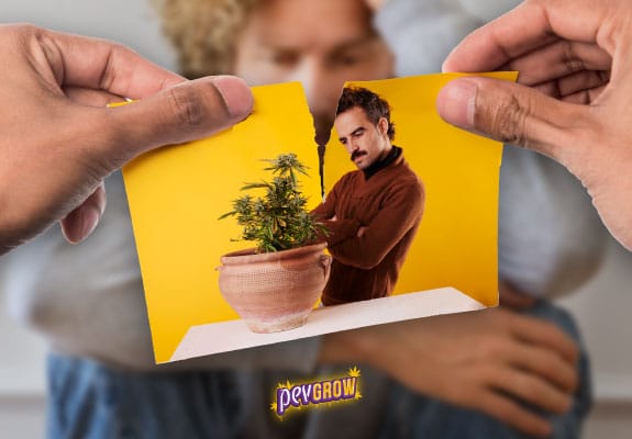Imagen de  una mano rompiendo una foto en dos mitades, una un hombre y la otra una planta de marihuana.