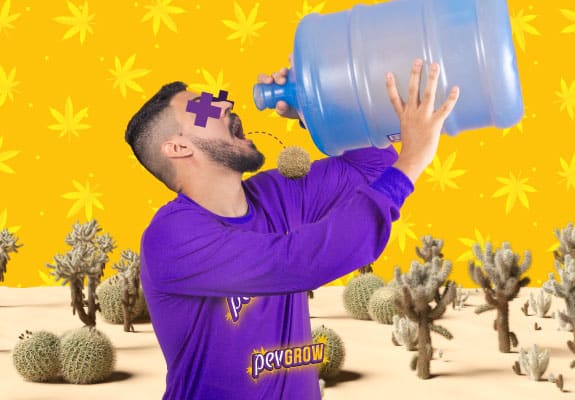 Imagen de una persona sedienta bebiendo de un garrafón y de fondo un desierto lleno de cactus
