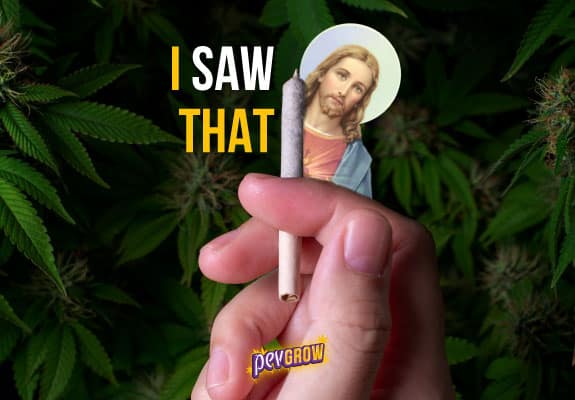Imagen de una mano sosteniendo un porro y un santo mirando, con un fondo de plantas de marihuana verdes