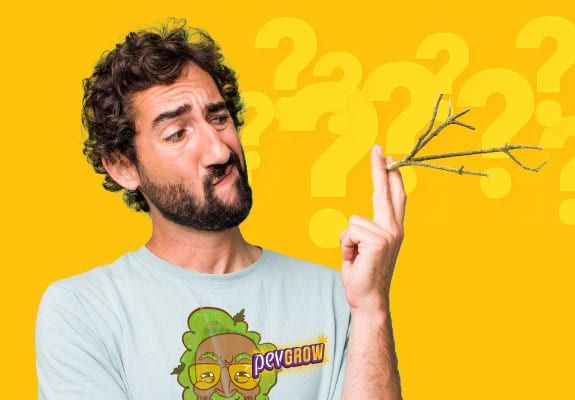 ¿Se pueden fumar los tallos y ramas de marihuana?