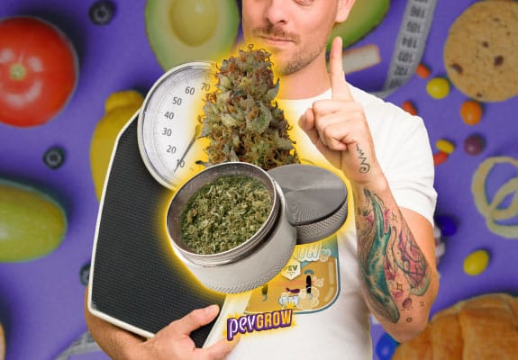The calories of marijuana: does it make you fat or not?