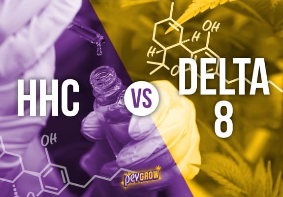 Imagen de los dos símbolos químicos HHC y Delta 8