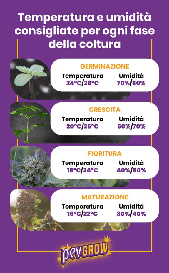 Temperatura e umidità raccomandate per ogni fase di coltivazione