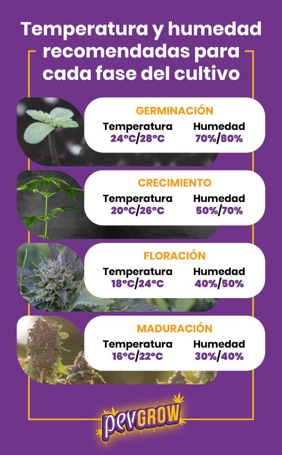 Temperatura-y-humedad-recomendadas-para-cada-fase-del-cultivo