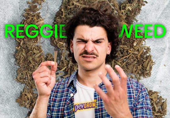 Imágen de una persona con un porro en la mano de Reggie Weed arrugando el entrecejo por no saber su significado.