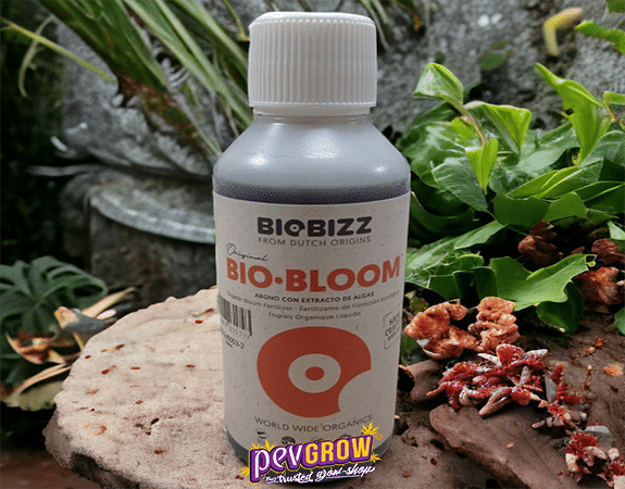 Una bottiglia di Biobloom in un giardino circondato da piante e rocce.