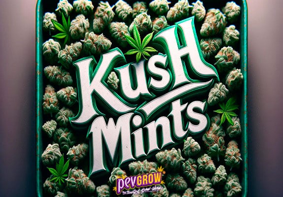 Il nome Kush Mints in rilievo su uno sfondo di gemme di marijuana