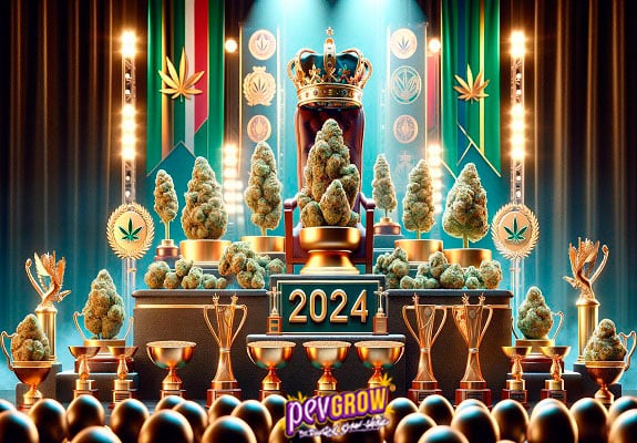 Imágen de un podium con plantas de marihuana en todos los niveles