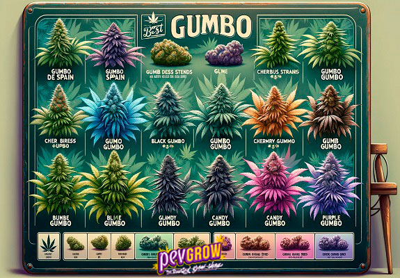 Which is the best Gumbo? Here you will see different featured Gumbo Strains.