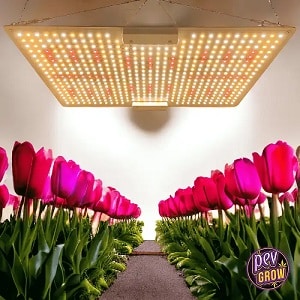 Lampes Led Cultivo