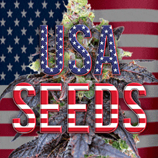 USA Seeds