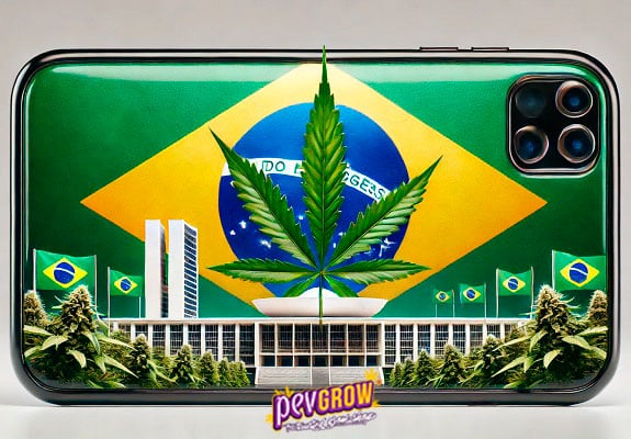 Brésil dépénalise la possession de cannabis pour usage personnel : une étape historique dans la politique des drogues