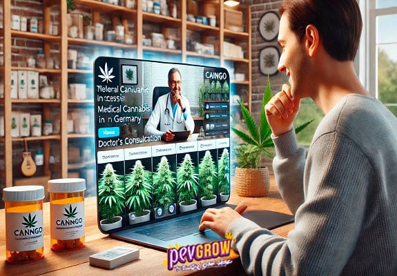 Innovative Telemedizin-Plattform CannGo revolutioniert den Zugang zu medizinischem Cannabis in Deutschland.